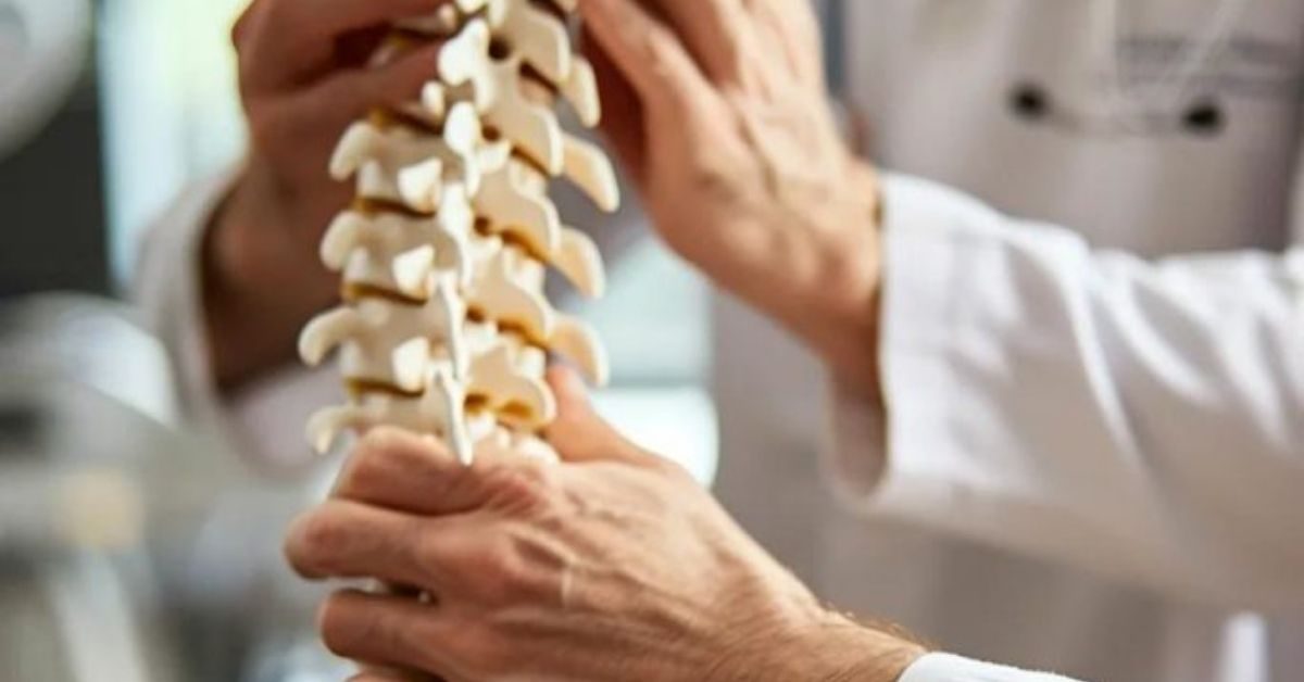 Chiropractic Care Services in Edwardsville IL Explained